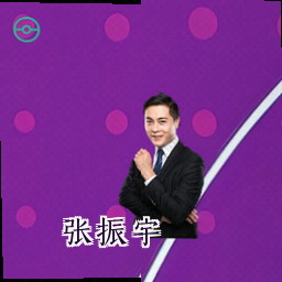 张振宇