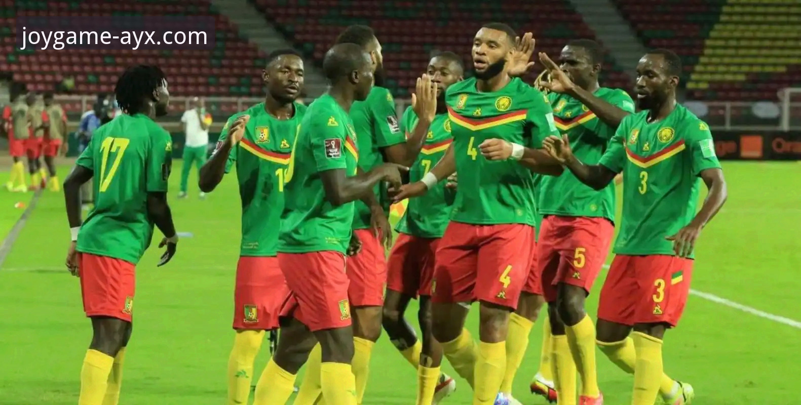 民主刚果重返世界杯：一场52年等待的技术性胜利完整指南